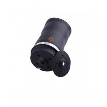 2513200425  Air Spring
